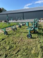 Asperge spin/ aspergefolie, Ophalen