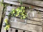 Vintage Hyacinth Glas Vaas - Deens Design 2 stuks, Gebruikt, Overige kleuren, Ophalen of Verzenden, Glas