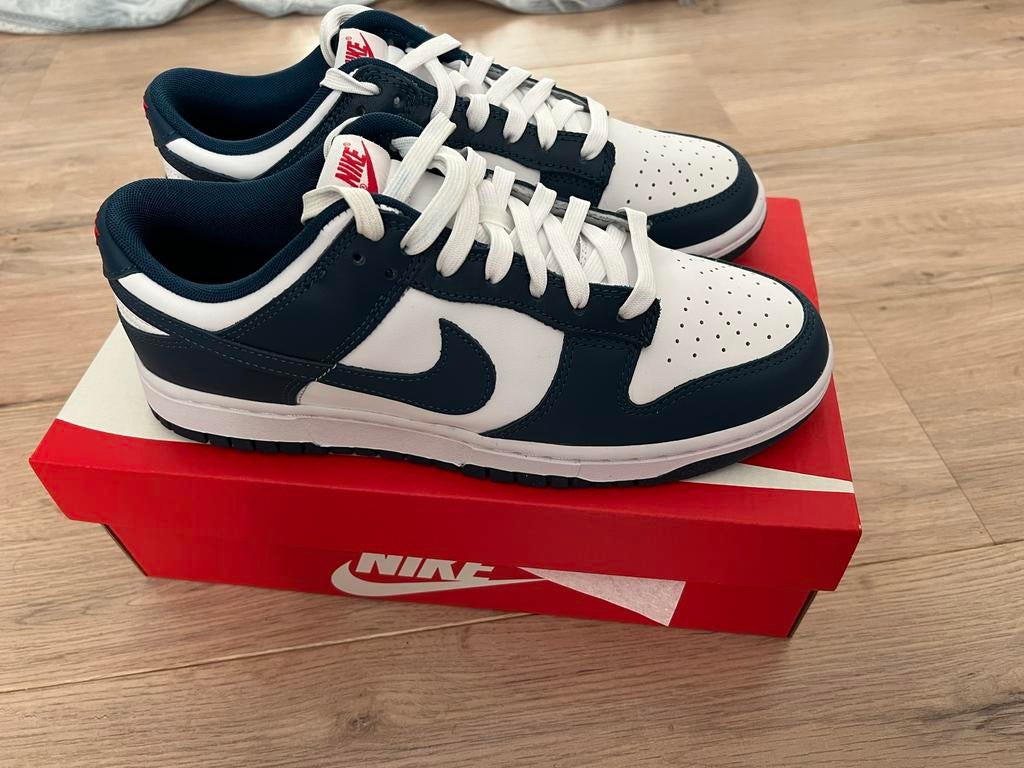 Nike Dunk Low Valerian Blue - Nieuw!, Ophalen of Verzenden, Nieuw, Blauw, Sneakers of Gympen