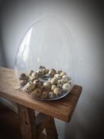 Glazen ei - stolp - windlicht, Ophalen of Verzenden, Nieuw