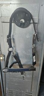 Equestrian Stockholm halster navy pony, Ophalen of Verzenden, Nieuw, Overige soorten