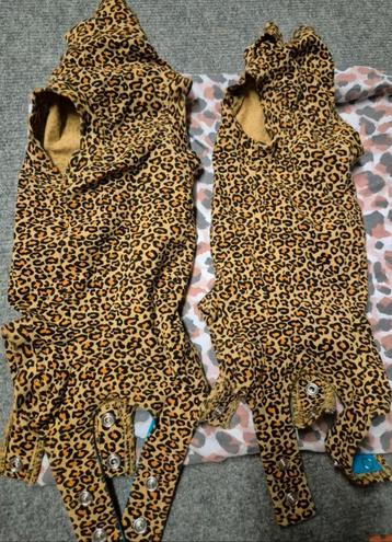Castratie rompertjes voor de kitten. beschikbaar voor biedingen