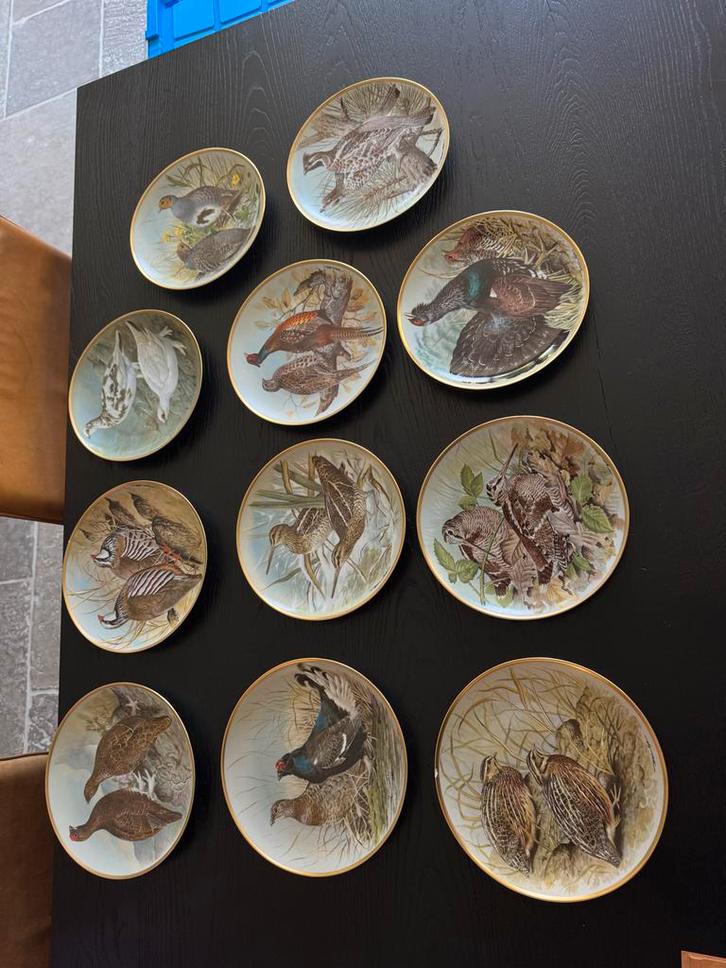 Basil Ede Vogelborden Collectie, Antiek en Kunst, Antiek | Wandborden en Tegels, Ophalen of Verzenden