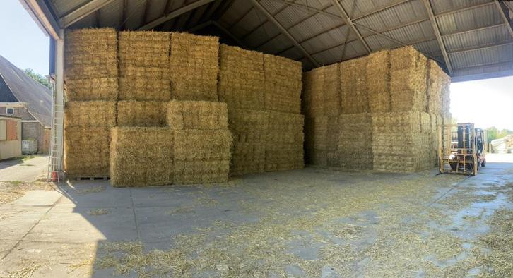 Kleine pakjes tarwe stro, Dieren en Toebehoren, Dierenvoeding, Vee, Ophalen of Verzenden
