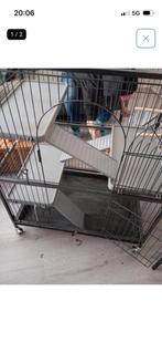 Kooi voor knaagdieren, Dieren en Toebehoren, Knaagdieren en Konijnen | Hokken en Kooien, Ophalen, Kooi, Minder dan 75 cm, Zo goed als nieuw