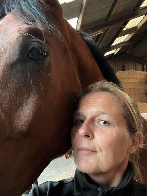 Paarden coaching & Psychosociale therapie, Diensten en Vakmensen, Coaching en Persoonlijke effectiviteit, Persoonlijke ontwikkeling
