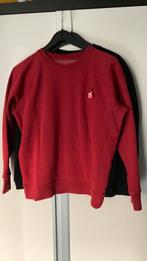 Isabel Marant trui zgan M, Kleding | Dames, Ophalen of Verzenden, Zo goed als nieuw