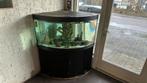 Jewel aquarium, Ophalen, Gebruikt, Gevuld zoetwateraquarium