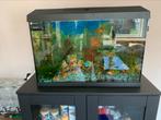 Juwel Aquarium 70 liter. met tropische vissen, Dieren en Toebehoren, Ophalen, Zo goed als nieuw, Gevuld zoetwateraquarium