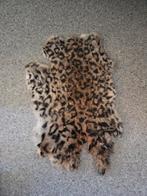 Konijnen vachtje/ bontje, Ophalen of Verzenden, Zo goed als nieuw