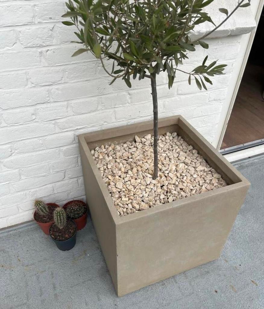 Kwantum Square Bloempot 45x45, Tuin en Terras, Bloempotten, Gebruikt, 40 cm of meer, Vierkant, Binnen