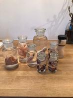 TAXIDERMIE PREPARAAT IN GLAS FORMOL VEEL KEUZE, Verzamelen, Dierenverzamelingen, Ophalen, Zo goed als nieuw, Beeldje of Figuurtje