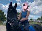 Bijrijder, Dieren en Toebehoren, Paarden en Pony's | Verzorgingsproducten, Ophalen, Zo goed als nieuw