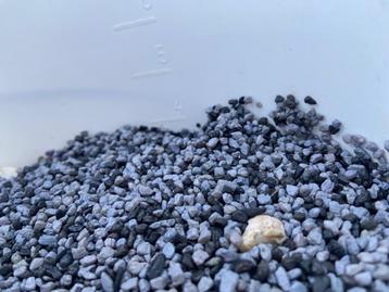 Ruim 4 liter Aquariumgrind; lichtgrijs met zwart beschikbaar voor biedingen