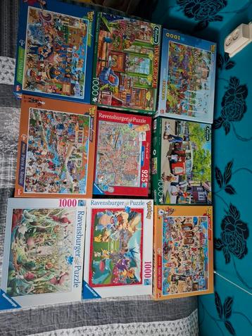 Diverse Legpuzzels - Ravensburger, Falcon, That's Life beschikbaar voor biedingen