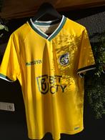 Orgineel Thuis shirt Fortuna Sittard / maat L / nieuwstaat!, Ophalen of Verzenden, Zo goed als nieuw, Voetbal