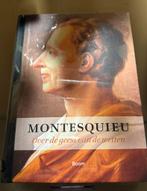 C. de Montesquieu - Over de geest van de wetten, Ophalen of Verzenden, Zo goed als nieuw, C. de Montesquieu