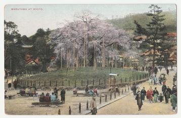 Japan.  Maruyama at Kyoto.   beschikbaar voor biedingen