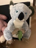 Koala beer groot, Ophalen, Zo goed als nieuw, Beer