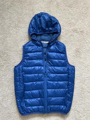Blauwe Next Star Bodywarmer - Maat 140 Nieuwstaat beschikbaar voor biedingen