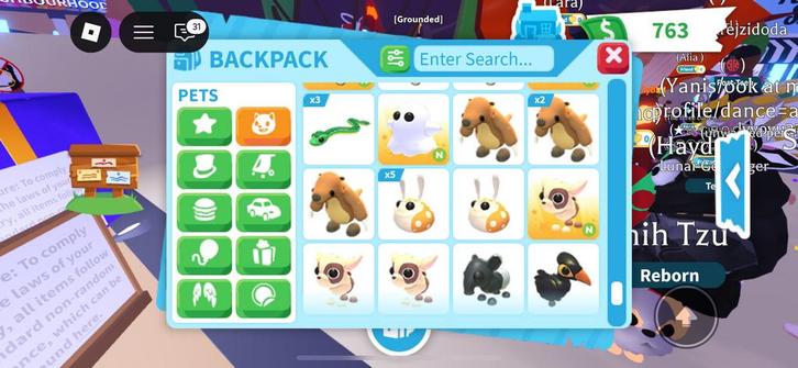 Adopt me dieren / pets, Spelcomputers en Games, Games | Atari, Zo goed als nieuw, Overige modellen, 1 speler, Vanaf 3 jaar, Ophalen of Verzenden