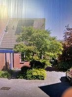 Hoekwoning te huur in Groningen, Direct bij eigenaar, 80 m², Groningen, 3 kamers