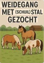 Gezocht stalling paard Deventer en omstreken, Dieren en Toebehoren, Stalling en Weidegang, Weidegang, 1 paard of pony