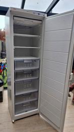 Diepvrieskast van Bosch, Witgoed en Apparatuur, Vriezers en Diepvrieskisten, Ophalen