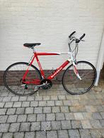 Koga miyara roadchamp sporting, Fietsen en Brommers, Ophalen, 57 tot 61 cm, Koga Miyata, Meer dan 20 versnellingen