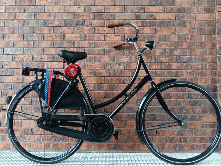 Hollandia Avalon oma fiets D57/Single speed, Fietsen en Brommers, Fietsen | Dames | Omafietsen, Zo goed als nieuw, 56 cm of meer