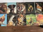 Boekenserie: Geheimen der Dierenwereld-10 delen - COMPLEET, Ophalen of Verzenden, Zo goed als nieuw, Vissen
