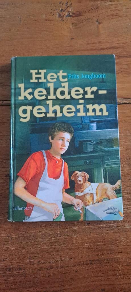 F. Jongboom - Het keldergeheim, Boeken, Kinderboeken | Jeugd | 10 tot 12 jaar, Zo goed als nieuw, Ophalen