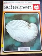 Boek Schelpen Standaard Beeld in kleur harde kaft Fossielen, Ophalen of Verzenden, Fossiel