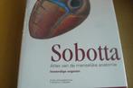 SOBOTTA / Atlas v.d. menselijke anatomie / Inwendige organen, Ophalen of Verzenden, Beta, Nieuw