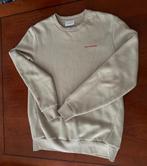 Daily aesthetikz sweater trui STING, Beige, Maat 48/50 (M), Ophalen of Verzenden, Zo goed als nieuw