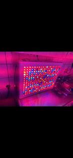 KIND LED Kweeklamp - XL 1000W - Grow Light, Ophalen of Verzenden, Zo goed als nieuw