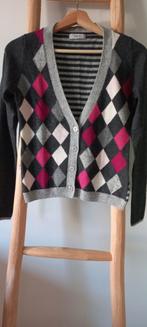 ANNA VESTJE ANTRACIET/GRIJS/FUCHSIA MERINO/KASJMIER WOL MT S, Anna van Toor, Ophalen of Verzenden, Zo goed als nieuw, Maat 36 (S)