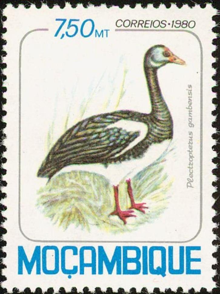 MOZAMBIQUE 2 - Dieren: vogels (spoorwiekgans), Postzegels en Munten, Postzegels | Thematische zegels, Postfris, Dier of Natuur