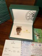 Rolex Datejust 41 – Ref. 126334 goud rood., Ophalen of Verzenden, Nieuw, Overige kleuren, Overige typen