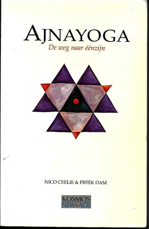 Ajnayoga - Nico Ceelie & Freek Dam, Boeken, Esoterie en Spiritualiteit, Zo goed als nieuw, Meditatie of Yoga, Ophalen of Verzenden