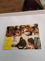 APENHEUL 1984 BERG EN BOS APELDOORN, Ophalen of Verzenden, 1980 tot heden, Gelderland