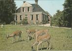 GASSELTE Hertenkamp, Verzamelen, Ansichtkaarten | Nederland, Verzenden, 1980 tot heden, Ongelopen, Drenthe