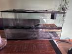 Schildpadden terrarium, Dieren en Toebehoren, Reptielen en Amfibieën | Toebehoren, Ophalen, Gebruikt, Terrarium of Paludarium