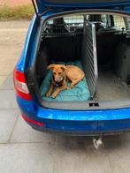 Travall hondenrek en kofferbakverdeler skoda octavia 2013, Ophalen, Zo goed als nieuw