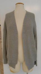 Shein vest grijs mt 40/42, Kleding | Dames, Truien en Vesten, Maat 42/44 (L), Ophalen of Verzenden, Zo goed als nieuw, Grijs