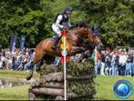 Training stal- Bartels stable, Dieren en Toebehoren, Paarden, Merrie, 0 tot 2 jaar