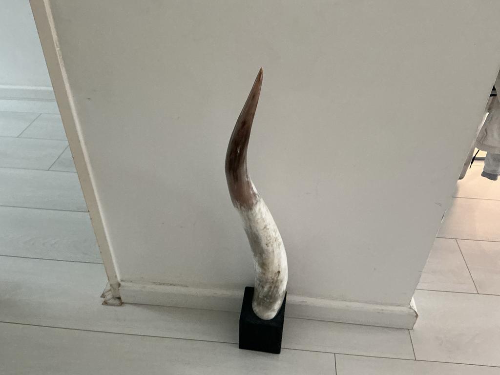 Mooie decoratieve hoorn op, Ophalen of Verzenden, Zo goed als nieuw