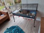 Nieuwe ferplast 120 kooi met onderstel op wielen., Dieren en Toebehoren, Knaagdieren en Konijnen | Hokken en Kooien, Kooi, 110 cm of meer