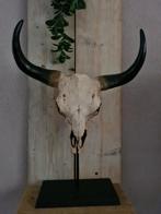 SKULL / Buffel, Huis en Inrichting, Ophalen of Verzenden, Zo goed als nieuw