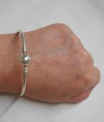 Zilveren Pandora armband Moments Charm Bangle nr.254
